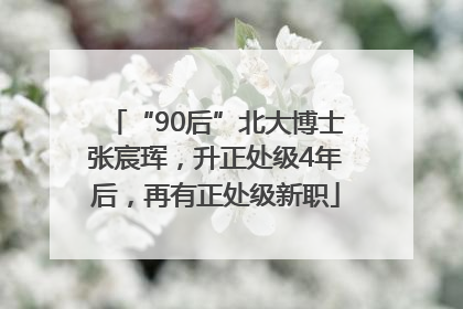 “90后”北大博士张宸珲，升正处级4年后，再有正处级新职