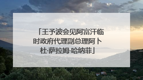 王予波会见阿富汗临时政府代理副总理阿卜杜·萨拉姆·哈纳菲