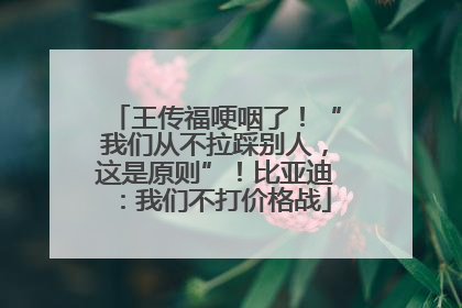 王传福哽咽了！“我们从不拉踩别人，这是原则”！比亚迪：我们不打价格战