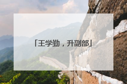 王学勤，升副部