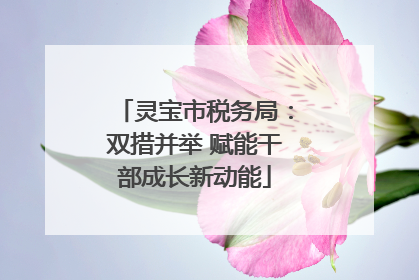 灵宝市税务局：双措并举 赋能干部成长新动能