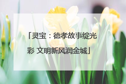 灵宝：德孝故事绽光彩 文明新风润金城