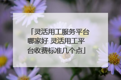 灵活用工服务平台哪家好 灵活用工平台收费标准几个点