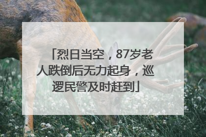 烈日当空，87岁老人跌倒后无力起身，巡逻民警及时赶到