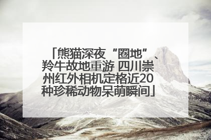 熊猫深夜“圈地”、羚牛故地重游 四川崇州红外相机定格近20种珍稀动物呆萌瞬间