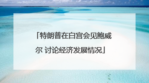 特朗普在白宫会见鲍威尔 讨论经济发展情况