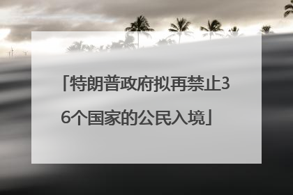 特朗普政府拟再禁止36个国家的公民入境