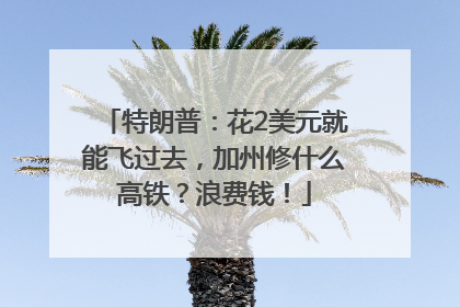 特朗普：花2美元就能飞过去，加州修什么高铁？浪费钱！