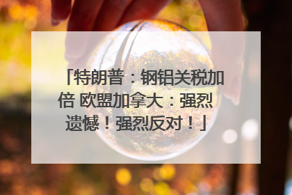 特朗普：钢铝关税加倍 欧盟加拿大：强烈遗憾！强烈反对！