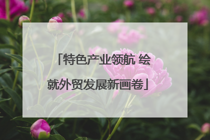 特色产业领航 绘就外贸发展新画卷