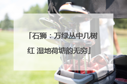石狮：万绿丛中几树红 湿地荷塘韵无穷