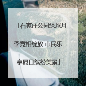 石家庄公园绣球月季竞相绽放 市民乐享夏日缤纷美景
