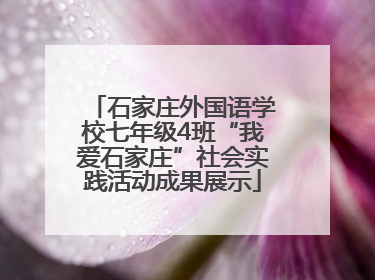 石家庄外国语学校七年级4班“我爱石家庄”社会实践活动成果展示