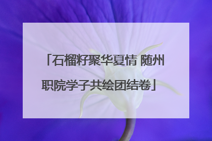 石榴籽聚华夏情 随州职院学子共绘团结卷