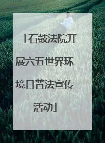 石鼓法院开展六五世界环境日普法宣传活动