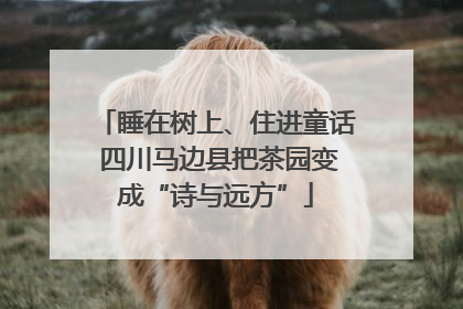 睡在树上、住进童话 四川马边县把茶园变成“诗与远方”