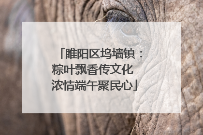 睢阳区坞墙镇：粽叶飘香传文化 浓情端午聚民心