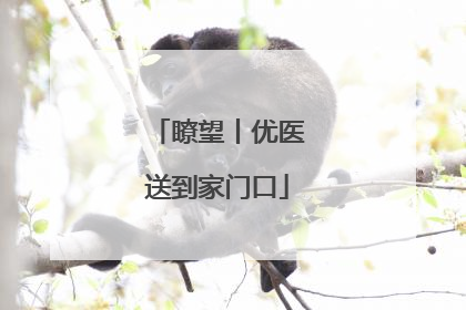 瞭望丨优医送到家门口