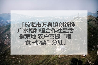 琼海市万泉镇创新推广水稻种植合作社盘活撂荒地 农户喜提“粮食+钞票”分红