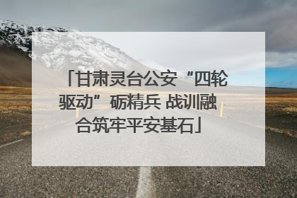 甘肃灵台公安“四轮驱动”砺精兵 战训融合筑牢平安基石