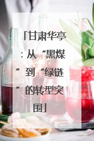 甘肃华亭：从“黑煤”到“绿链”的转型突围