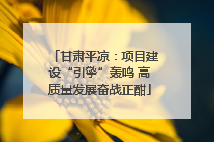 甘肃平凉：项目建设“引擎”轰鸣 高质量发展奋战正酣