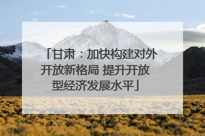 甘肃：加快构建对外开放新格局 提升开放型经济发展水平
