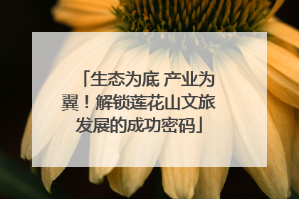 生态为底 产业为翼！解锁莲花山文旅发展的成功密码
