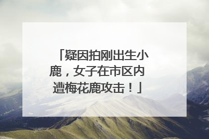 疑因拍刚出生小鹿，女子在市区内遭梅花鹿攻击！