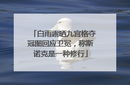 白雨露晒九宫格夺冠图回应卫冕，称斯诺克是一种修行