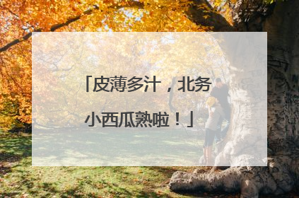 皮薄多汁，北务小西瓜熟啦！