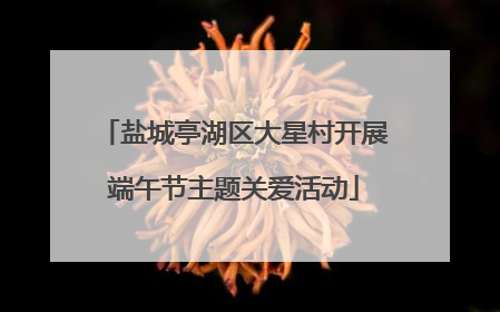 盐城亭湖区大星村开展端午节主题关爱活动