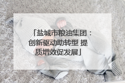 盐城市粮油集团：创新驱动助转型 提质增效促发展