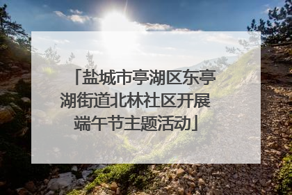 盐城市亭湖区东亭湖街道北林社区开展端午节主题活动