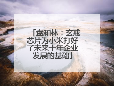 盘和林：玄戒芯片为小米打好了未来十年企业发展的基础