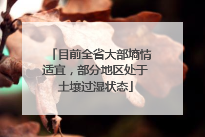目前全省大部墒情适宜，部分地区处于土壤过湿状态