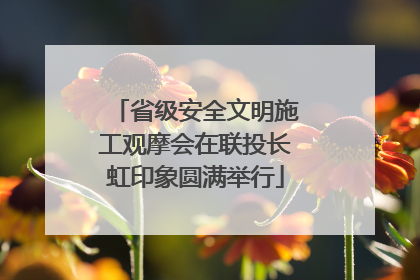 省级安全文明施工观摩会在联投长虹印象圆满举行