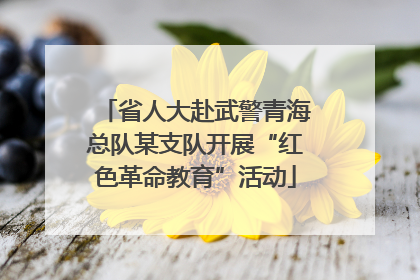 省人大赴武警青海总队某支队开展“红色革命教育”活动