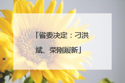 省委决定：刁洪斌、荣刚履新