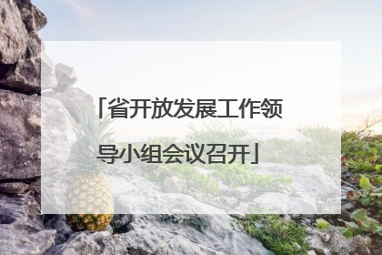 省开放发展工作领导小组会议召开
