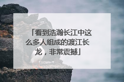 看到浩瀚长江中这么多人组成的渡江长龙，非常震撼