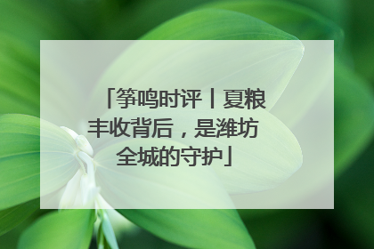 筝鸣时评丨夏粮丰收背后，是潍坊全城的守护