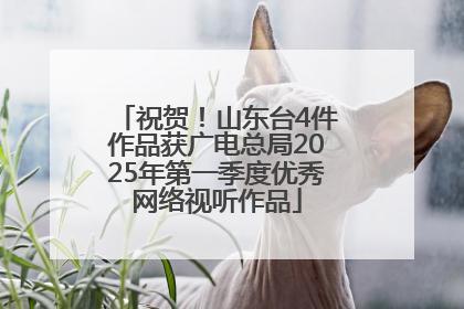 祝贺！山东台4件作品获广电总局2025年第一季度优秀网络视听作品