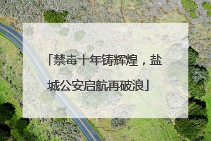 禁毒十年铸辉煌，盐城公安启航再破浪