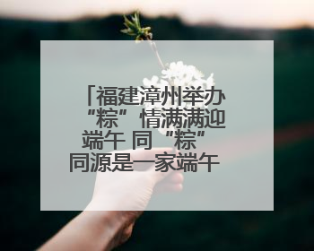 福建漳州举办“粽”情满满迎端午 同“粽”同源是一家端午联谊活动