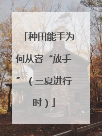 种田能手为何从容“放手”（三夏进行时）
