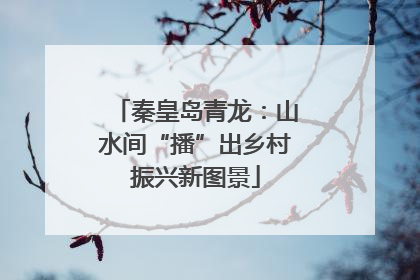秦皇岛青龙：山水间“播”出乡村振兴新图景