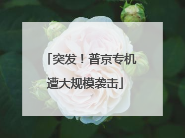 突发！普京专机遭大规模袭击