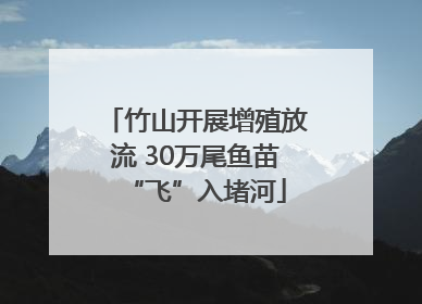 竹山开展增殖放流 30万尾鱼苗“飞”入堵河