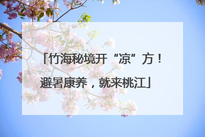 竹海秘境开“凉”方！避暑康养，就来桃江